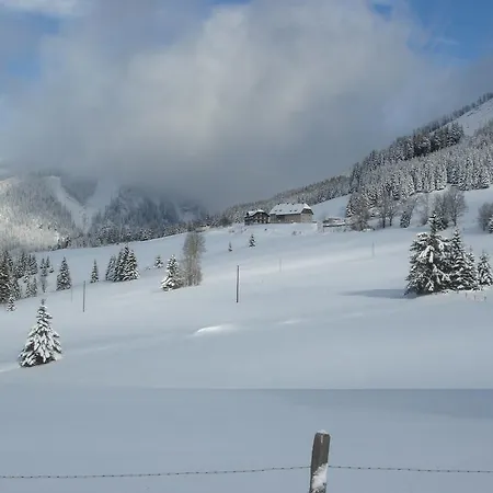 Panorama Chalet Hohentauern